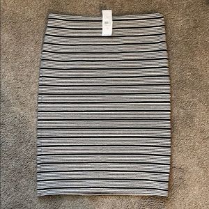 NWT LOFT Pencil Skirt XS